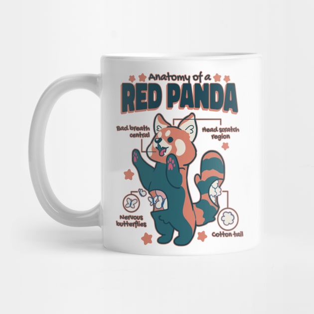 Anatomy Of A Red Panda by Visual Vibes